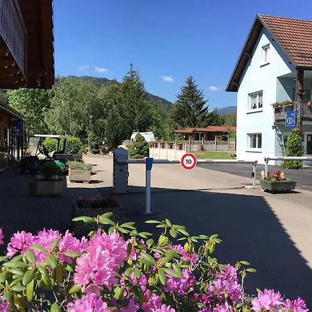 Flower Camping Les Bouleaux 4* Ranspach